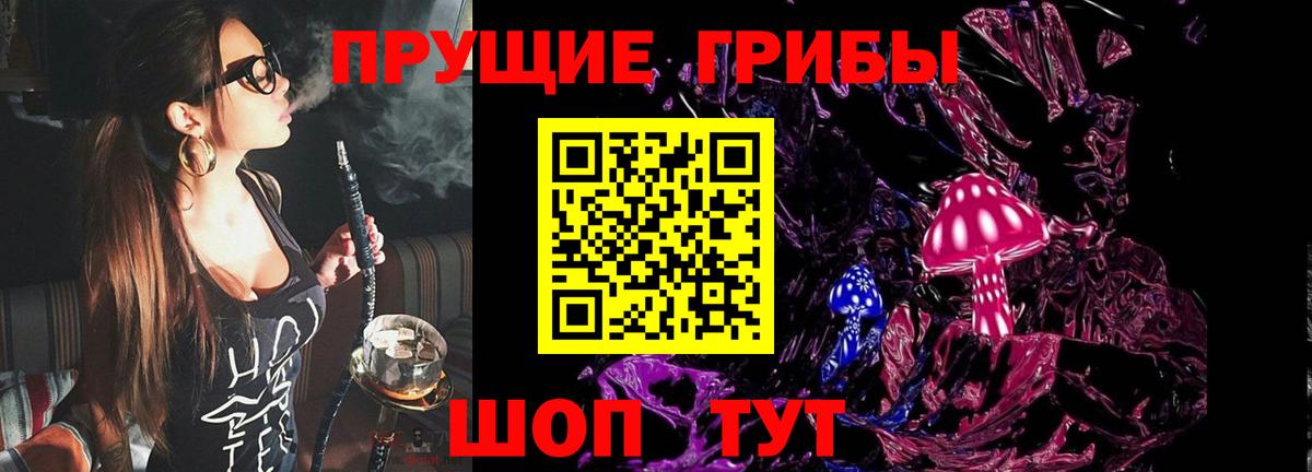 Галлюциногенные грибы Cubensis Камышлов